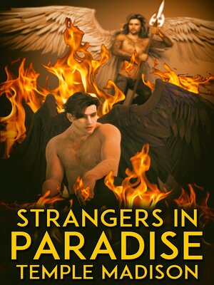cover image of Strangers in Paradise